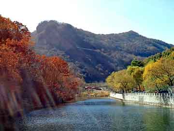 新澳门二四六天天彩，济南空调移机